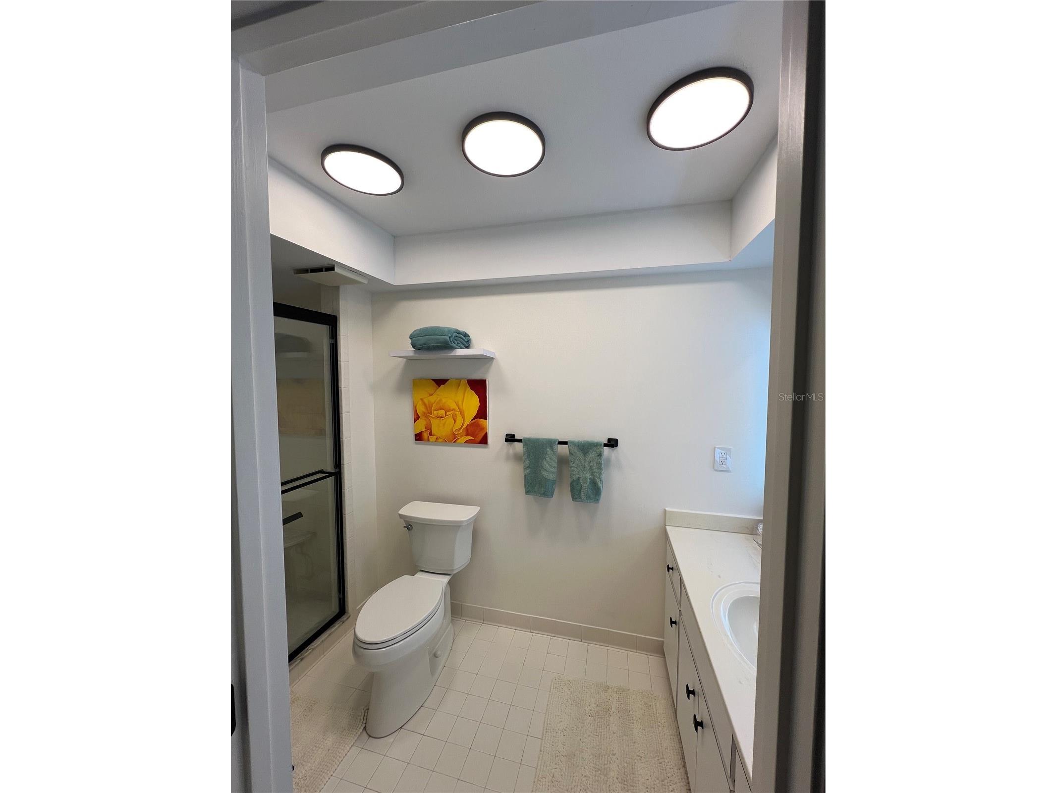 3919 Glen Oaks Manor Drive Sarasota FL 34232 A4683587 image26