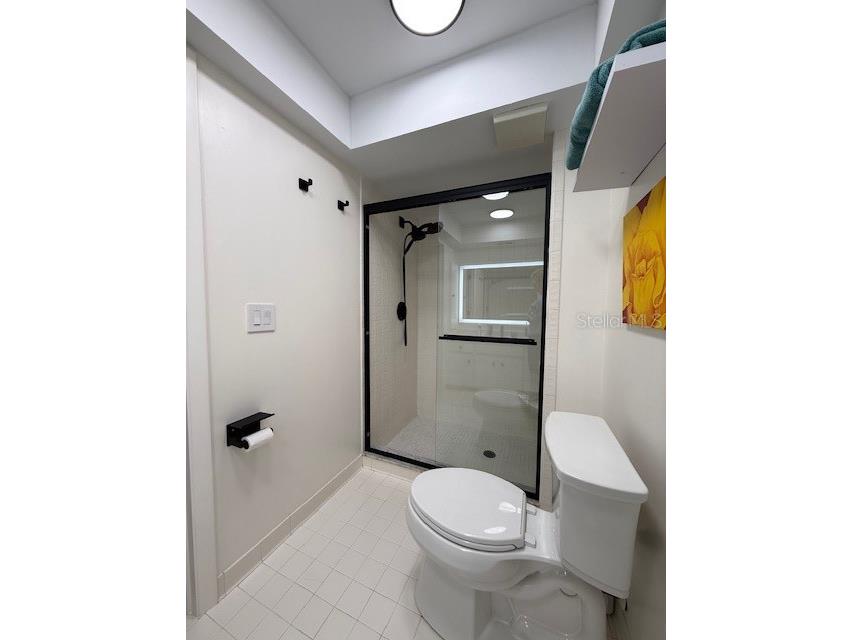 3919 Glen Oaks Manor Drive Sarasota FL 34232 A4683587 image28
