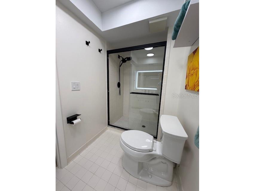 3919 Glen Oaks Manor Drive Sarasota FL 34232 A4683587 image30