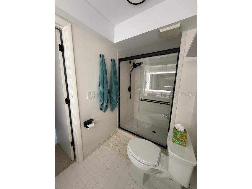 3919 Glen Oaks Manor Drive Sarasota FL 34232 A4683587 image32