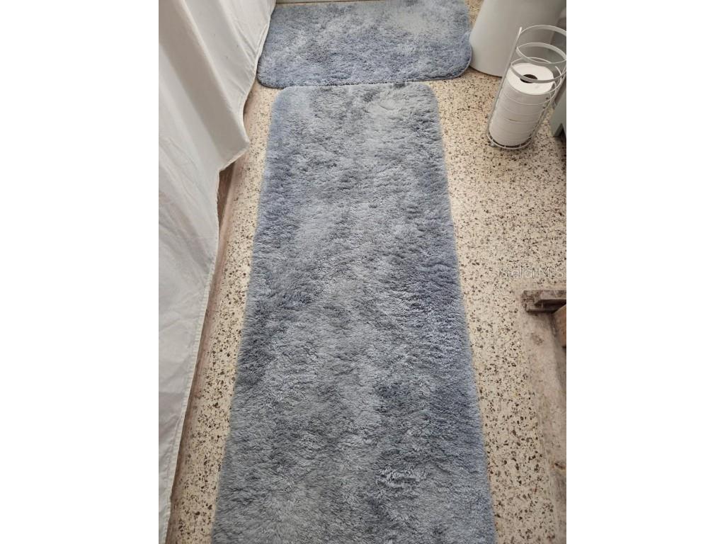 3919 Harrisburg Street NE Saint Petersburg FL 33703 TB8370923 image22