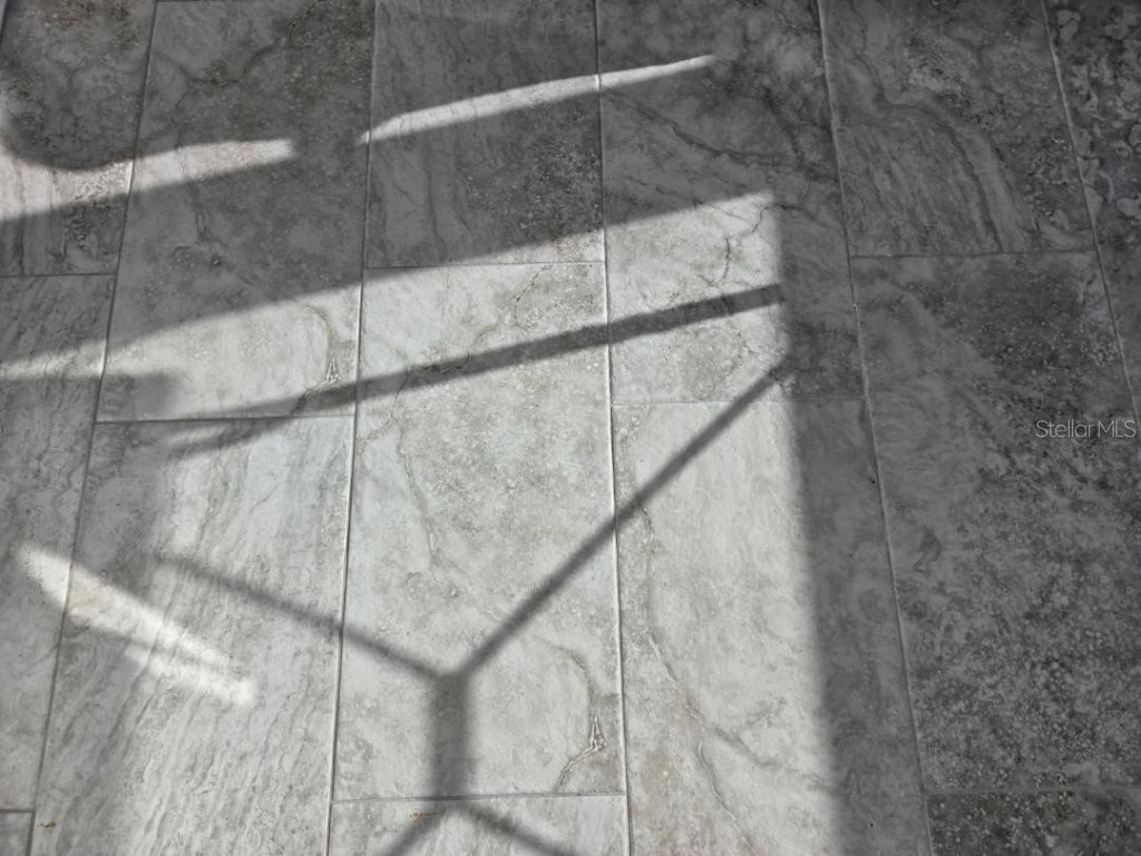 3919 Harrisburg Street NE Saint Petersburg FL 33703 TB8370923 image23