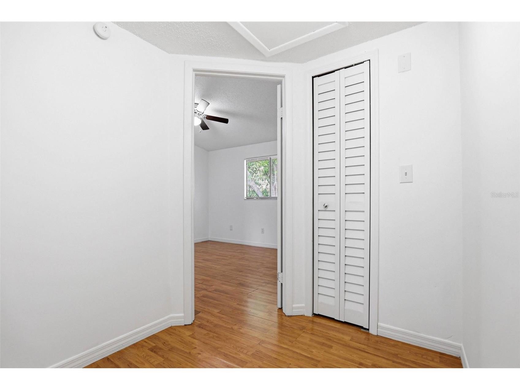 3919 Pine Limb Court Tampa FL 33614 TB8491521 image23