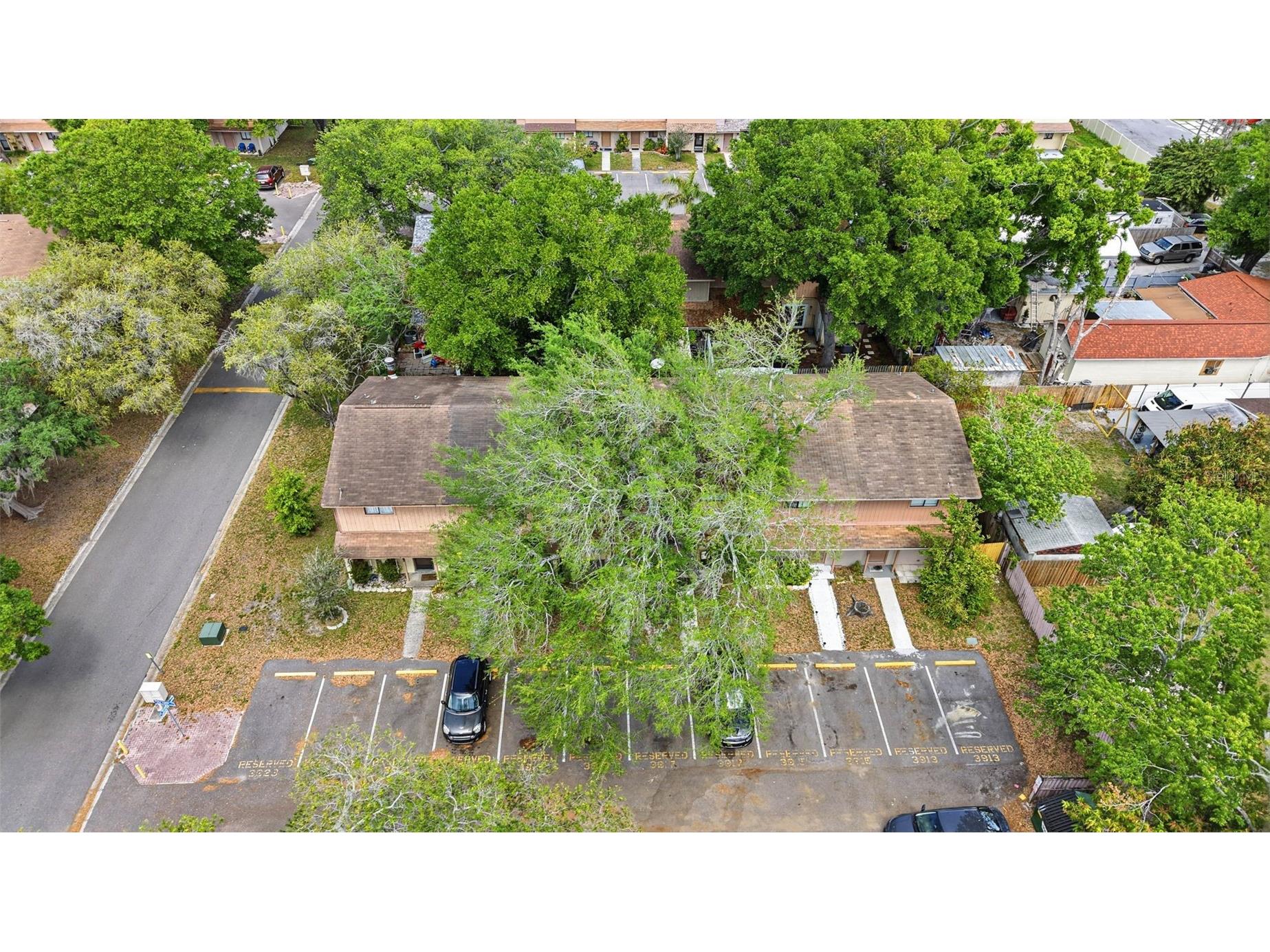 3919 Pine Limb Court Tampa FL 33614 TB8491521 image50