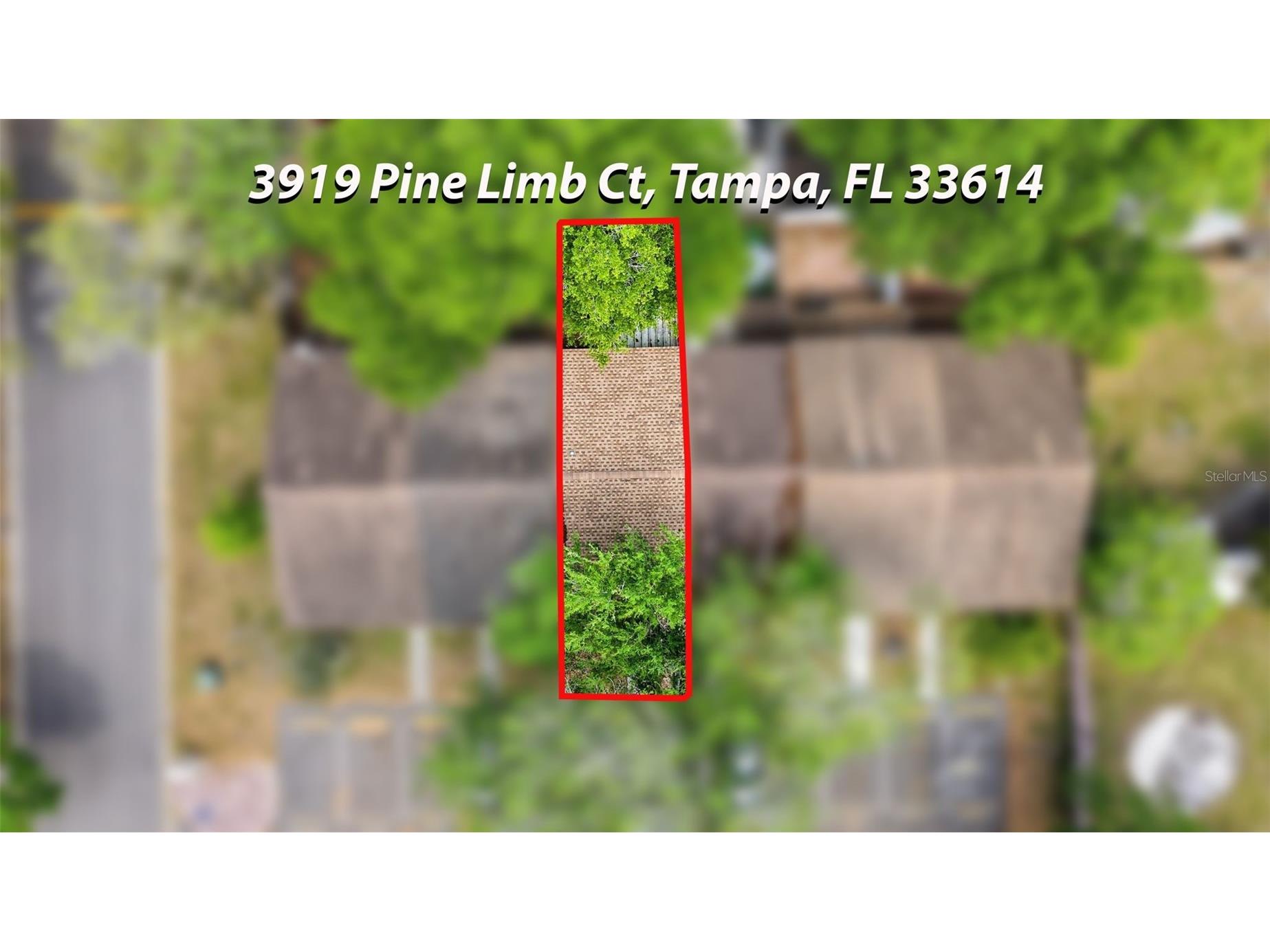 3919 Pine Limb Court Tampa FL 33614 TB8491521 image53