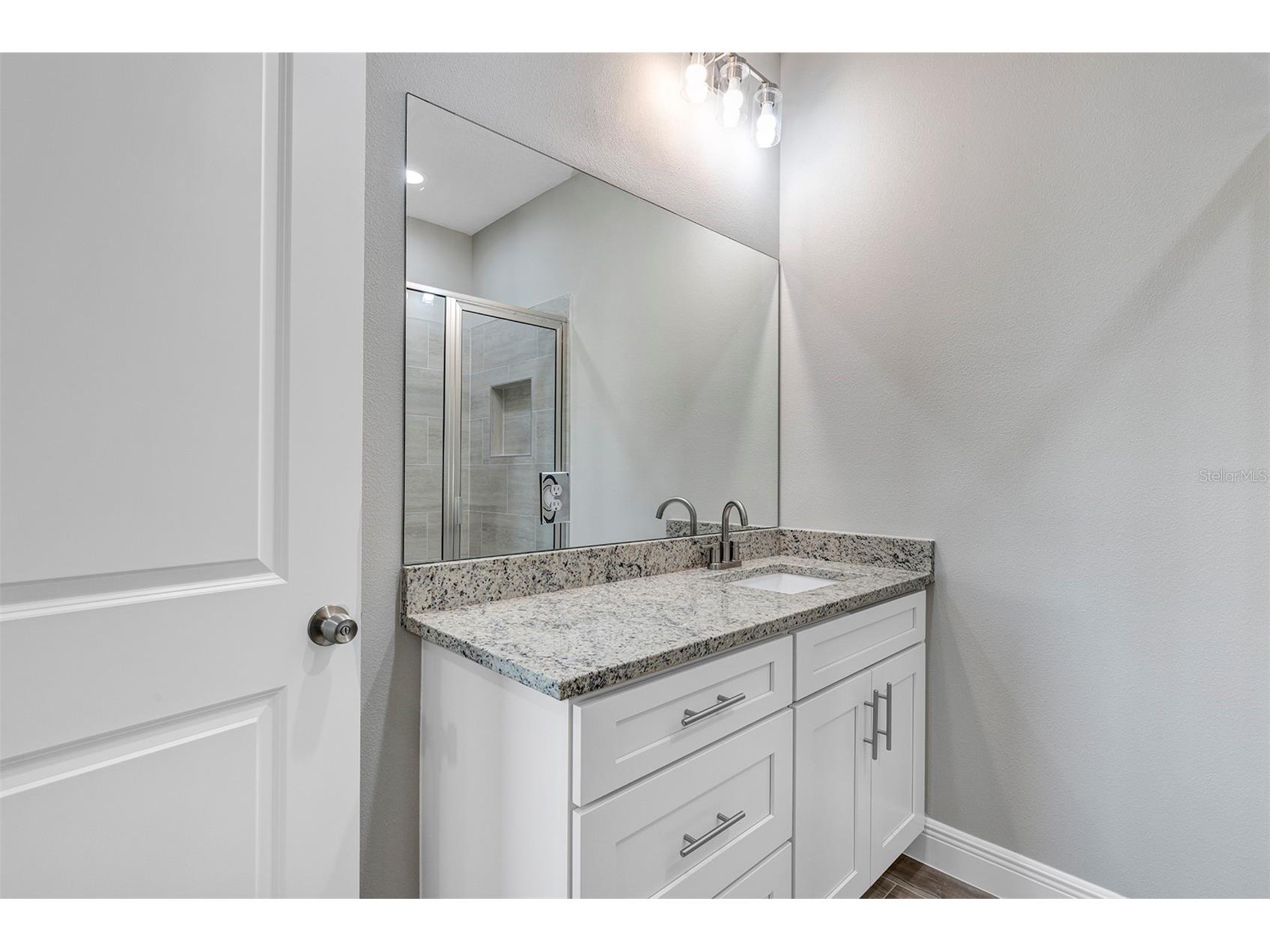3919 SE 135th Lane Summerfield FL 34491 OM723960 image26