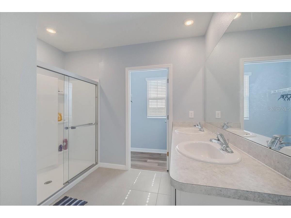 3919 Willow Branch Place Palmetto FL 34221 A4696756 image16