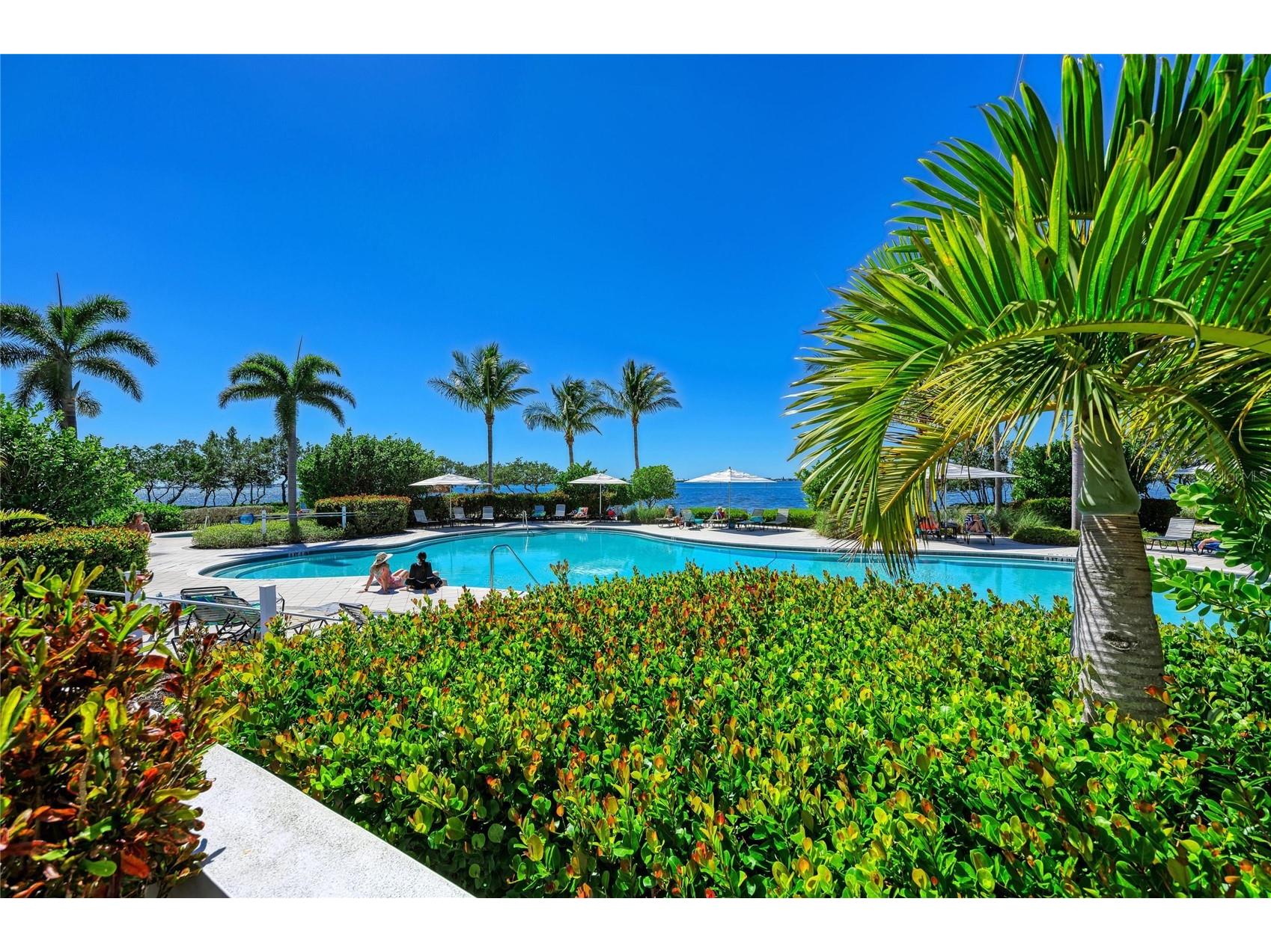 392 Aruba Circle #102 Bradenton FL 34209 A4692888 image66