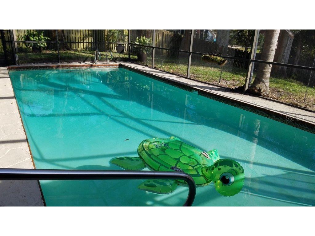 392 Lakeview Terrace Palm Harbor FL 34683 W7887958 image10