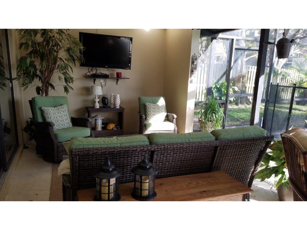 392 Lakeview Terrace Palm Harbor FL 34683 W7887958 image11