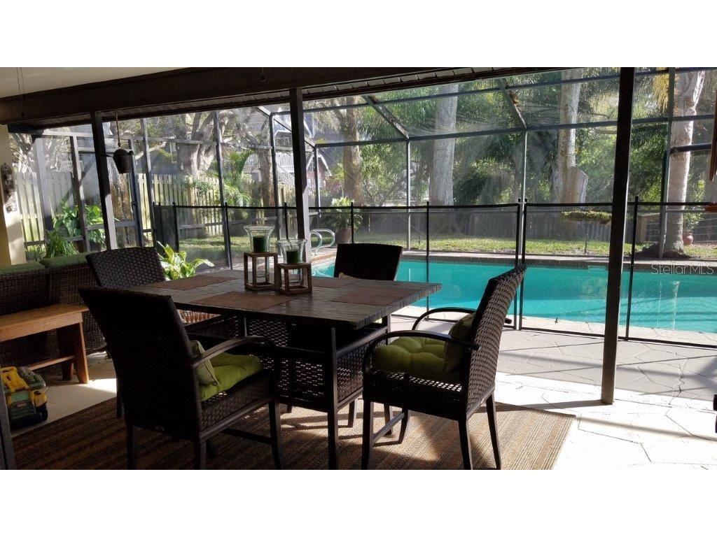 392 Lakeview Terrace Palm Harbor FL 34683 W7887958 image12