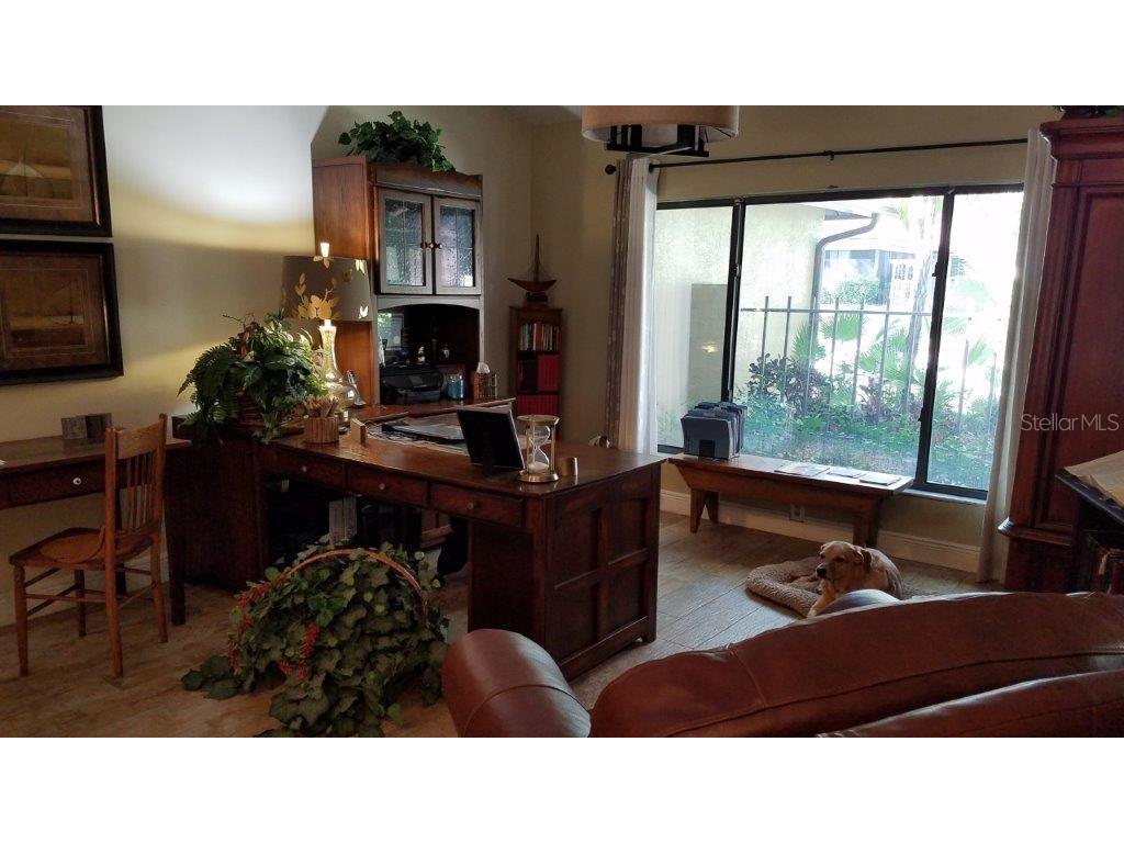 392 Lakeview Terrace Palm Harbor FL 34683 W7887958 image14