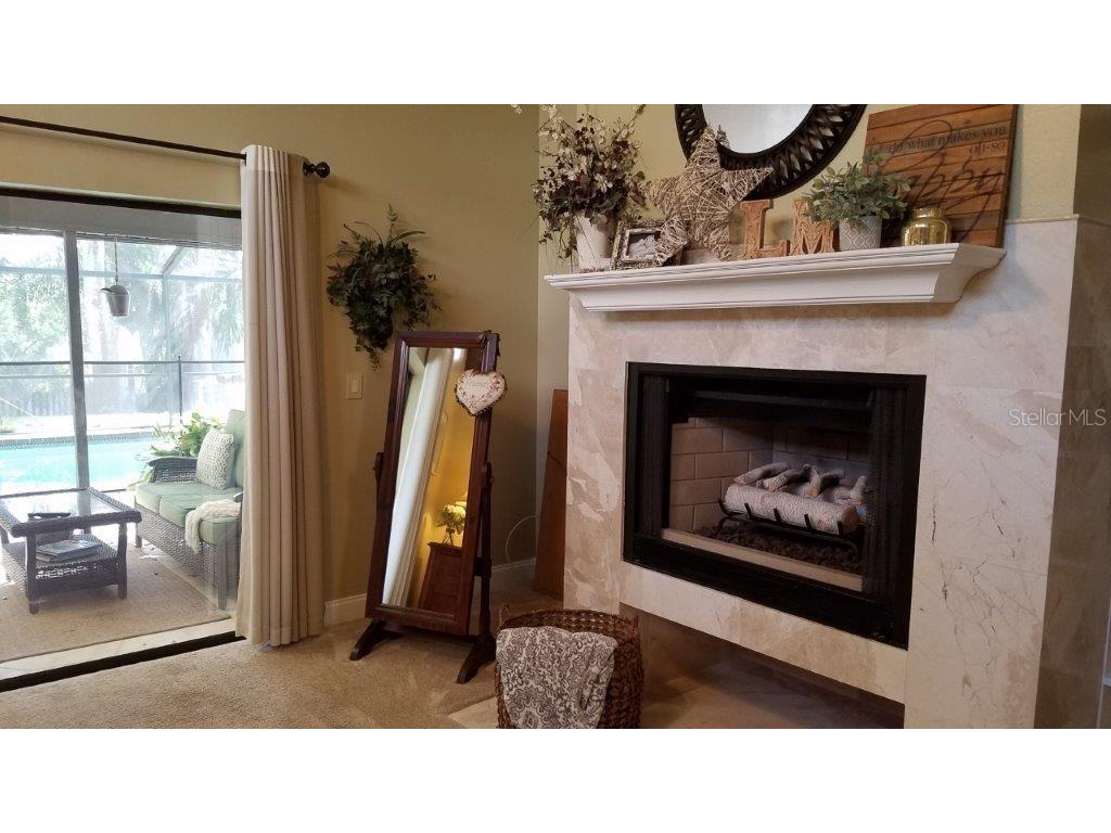 392 Lakeview Terrace Palm Harbor FL 34683 W7887958 image17