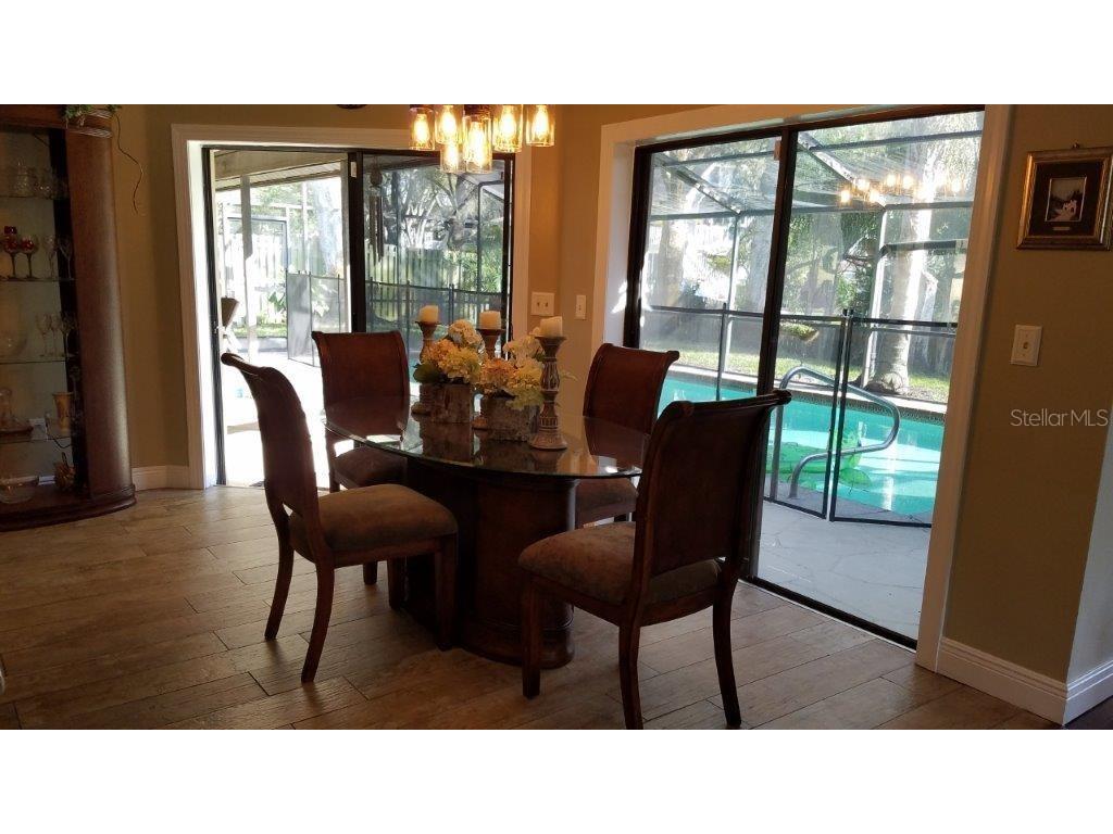 392 Lakeview Terrace Palm Harbor FL 34683 W7887958 image20