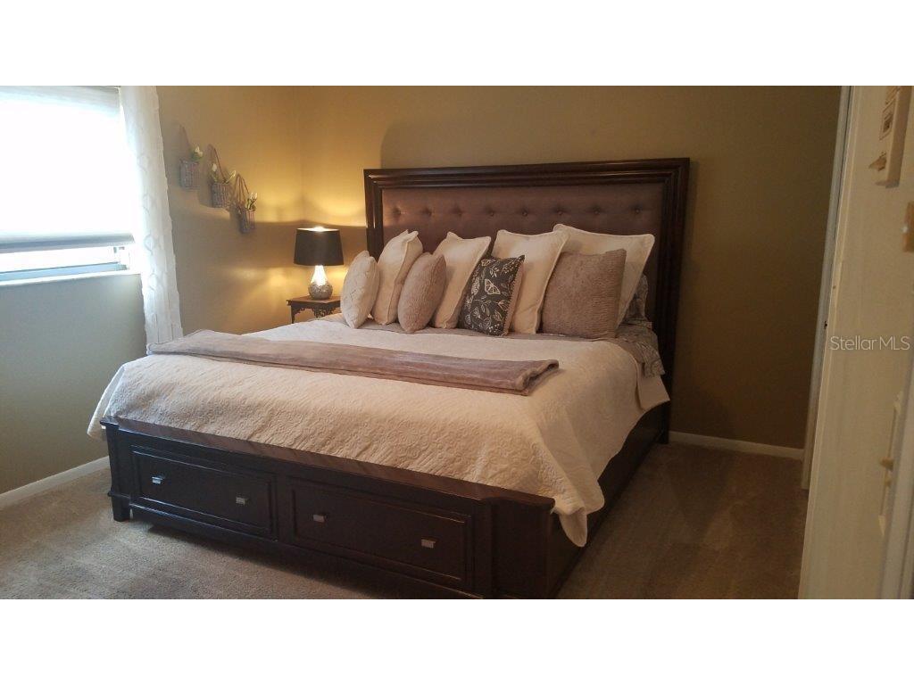 392 Lakeview Terrace Palm Harbor FL 34683 W7887958 image23