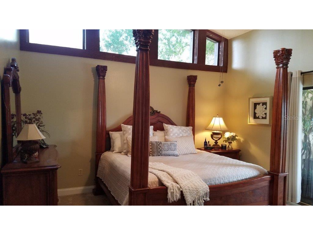 392 Lakeview Terrace Palm Harbor FL 34683 W7887958 image8