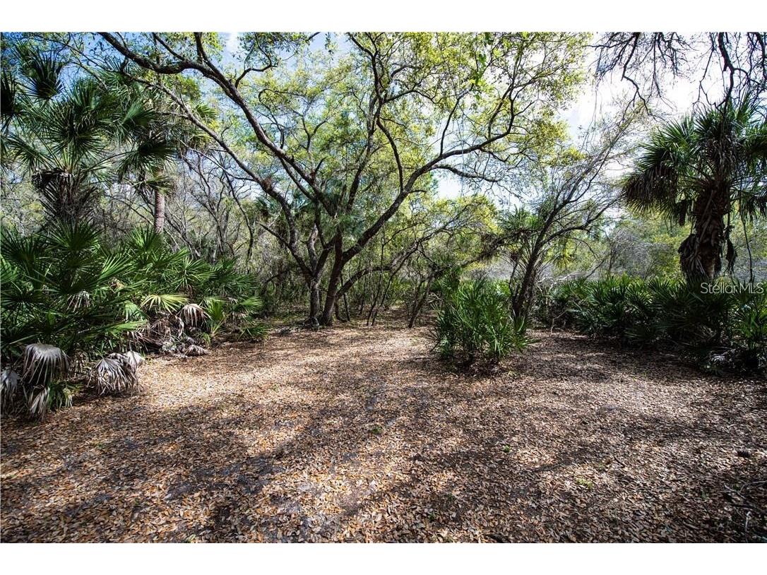 392 Manly Street Port Charlotte FL 33953 TB8339985 image5