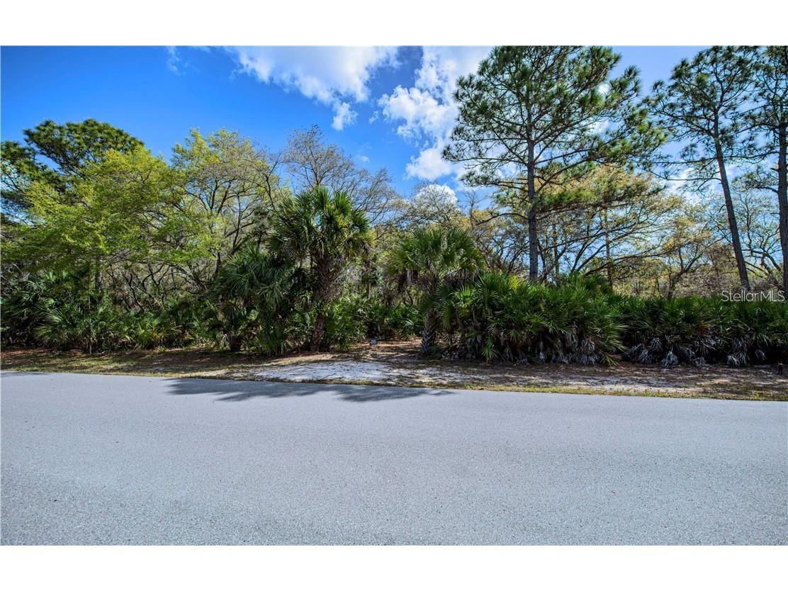 392 Manly Street Port Charlotte FL 33953 TB8339985 image9