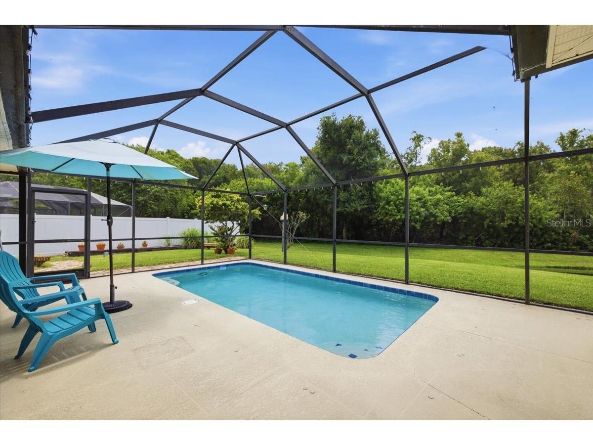 392 Tavernier Circle Oldsmar FL 34677 TB8521472 image23