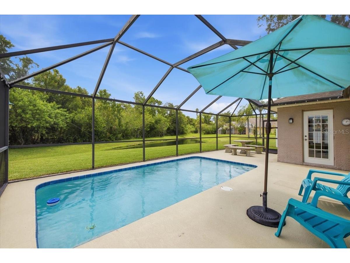 392 Tavernier Circle Oldsmar FL 34677 TB8521472 image25