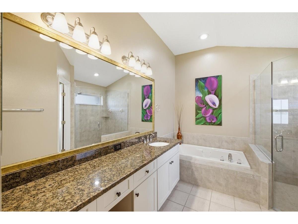 392 Tavernier Circle Oldsmar FL 34677 TB8521472 image33