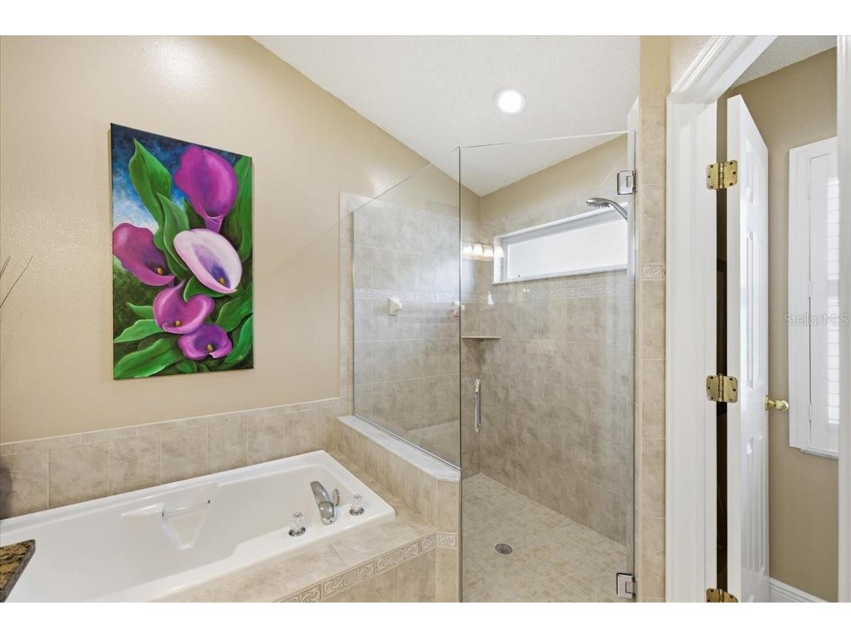 392 Tavernier Circle Oldsmar FL 34677 TB8521472 image34