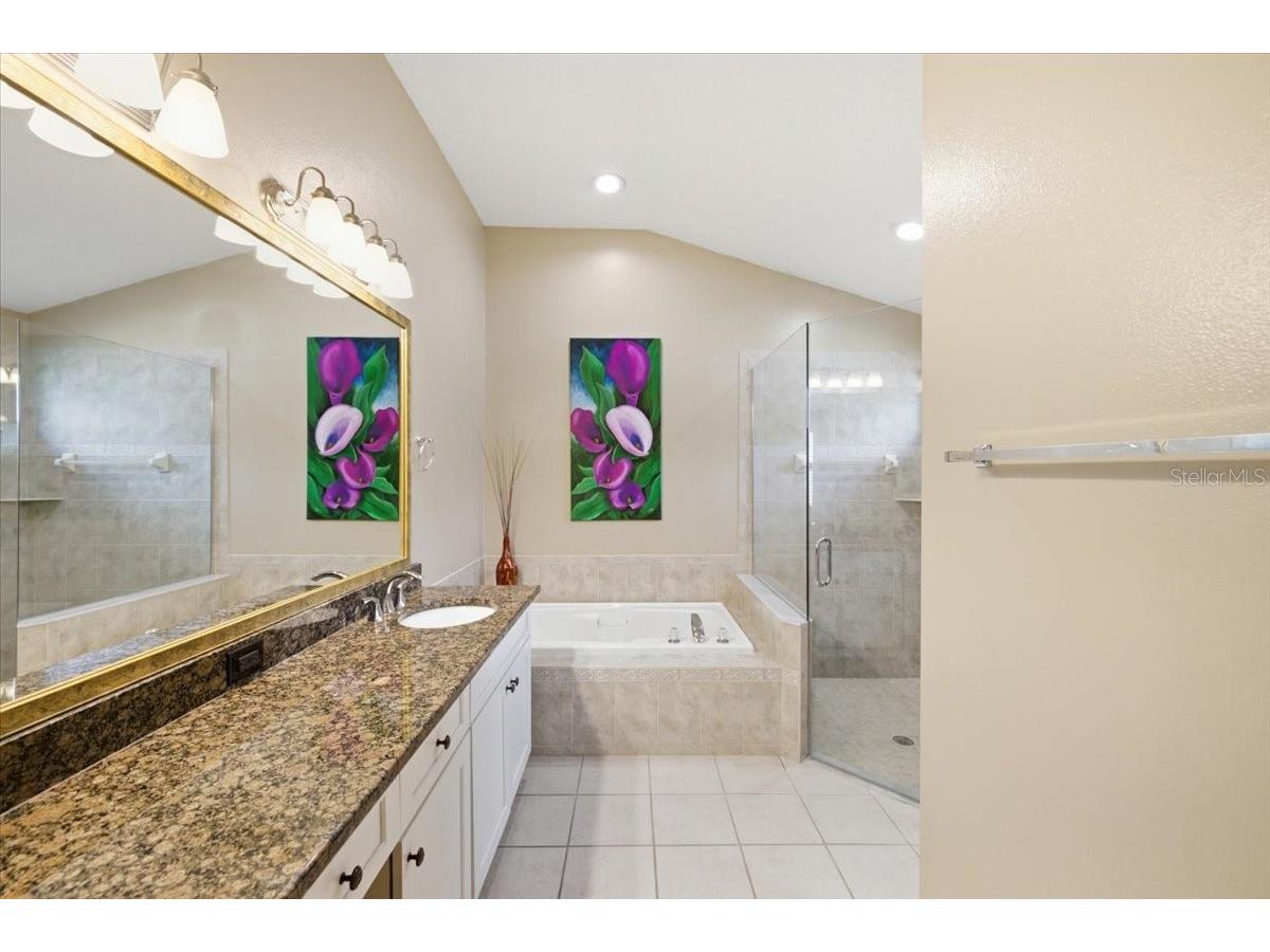 392 Tavernier Circle Oldsmar FL 34677 TB8521472 image35