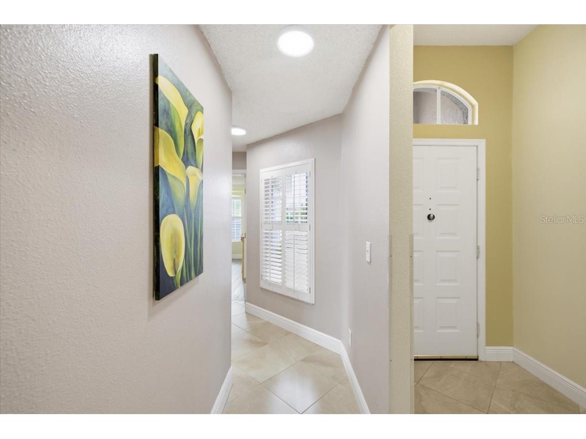 392 Tavernier Circle Oldsmar FL 34677 TB8521472 image37