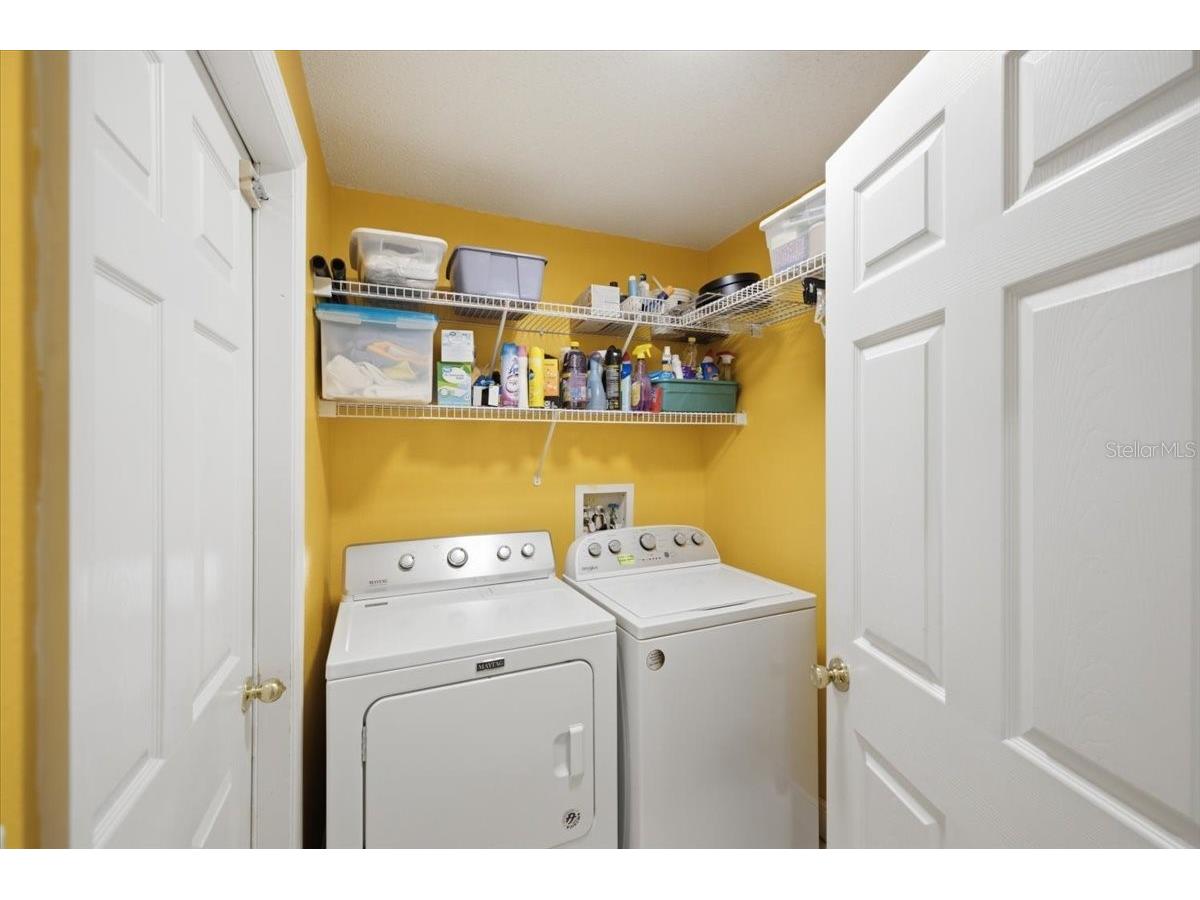392 Tavernier Circle Oldsmar FL 34677 TB8521472 image43