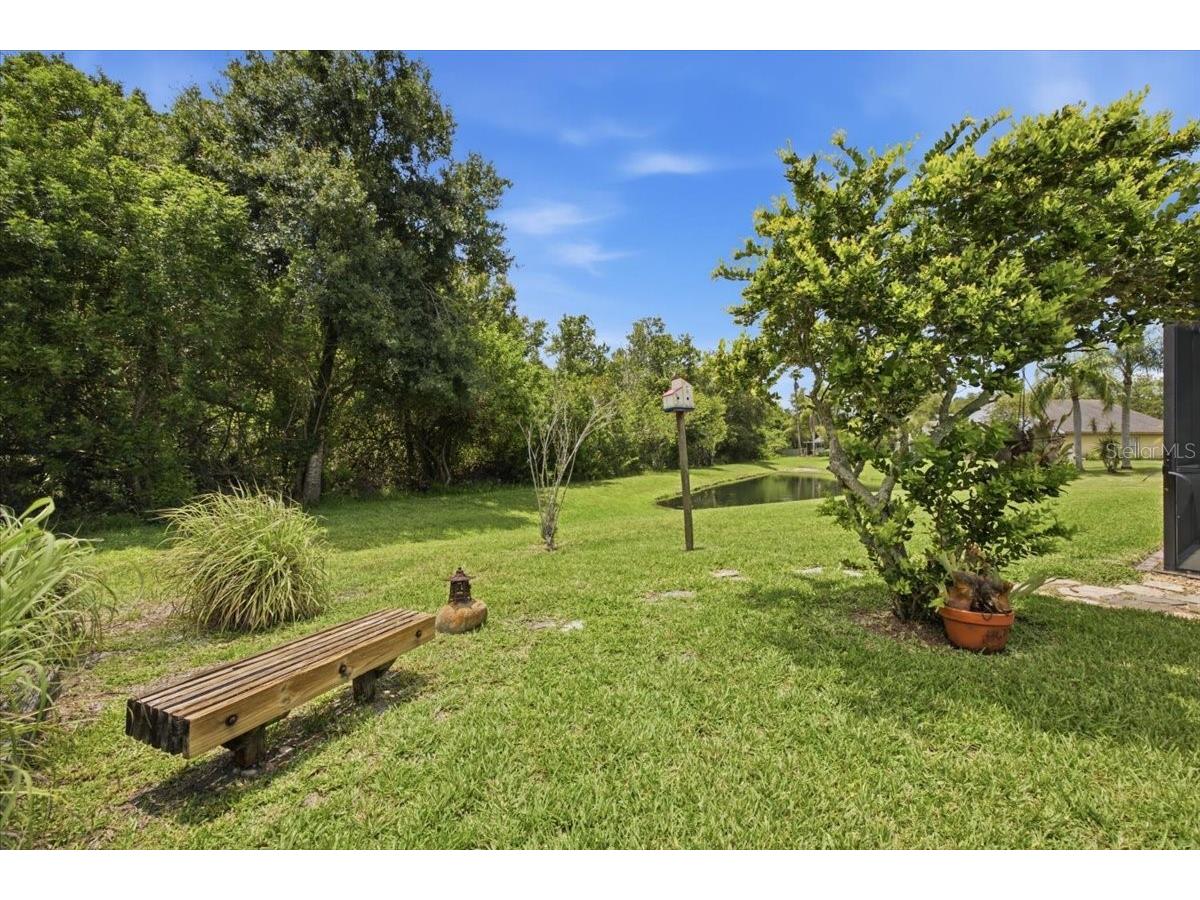 392 Tavernier Circle Oldsmar FL 34677 TB8521472 image45