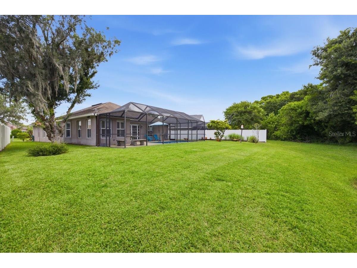 392 Tavernier Circle Oldsmar FL 34677 TB8521472 image46