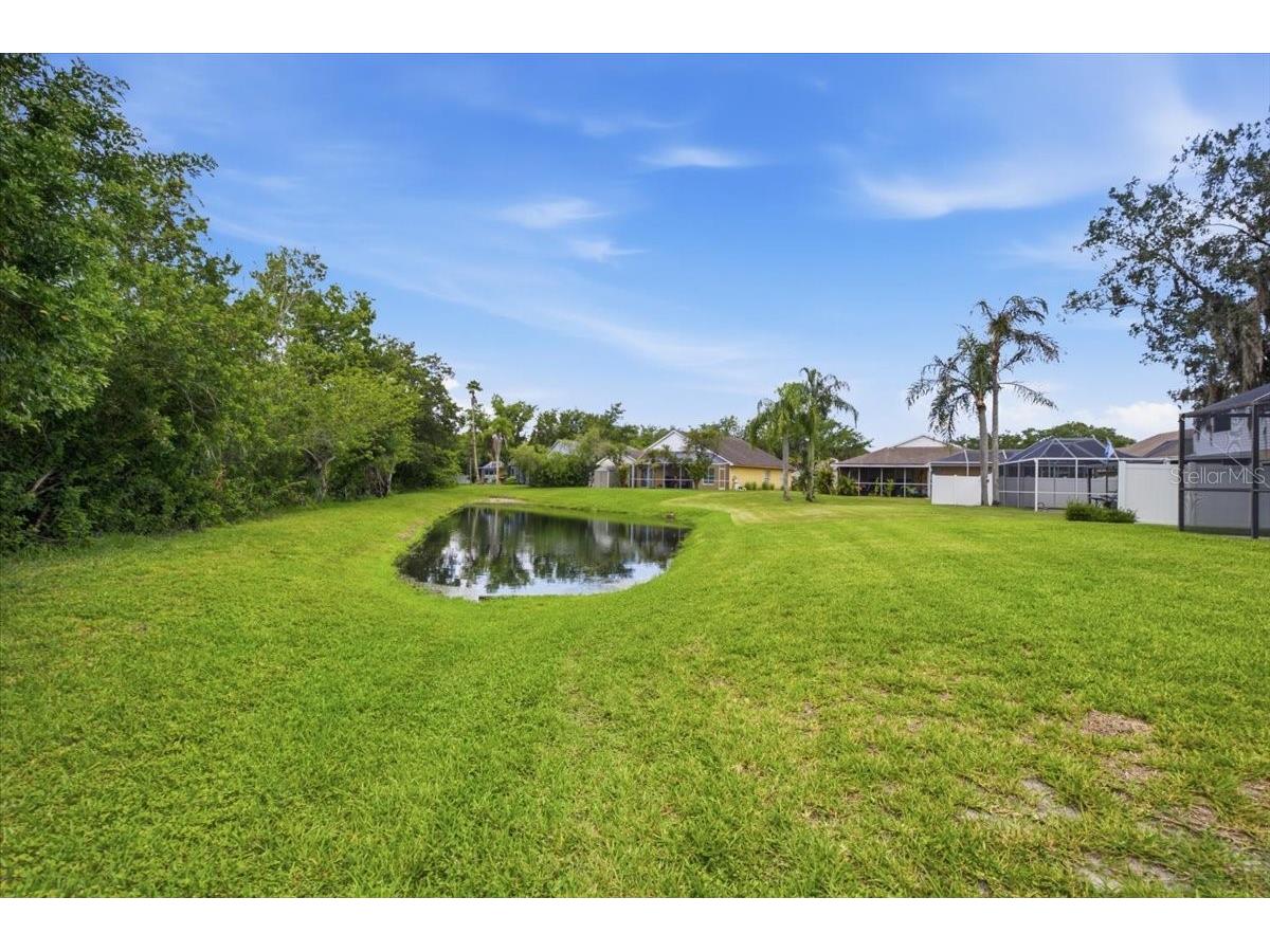 392 Tavernier Circle Oldsmar FL 34677 TB8521472 image47