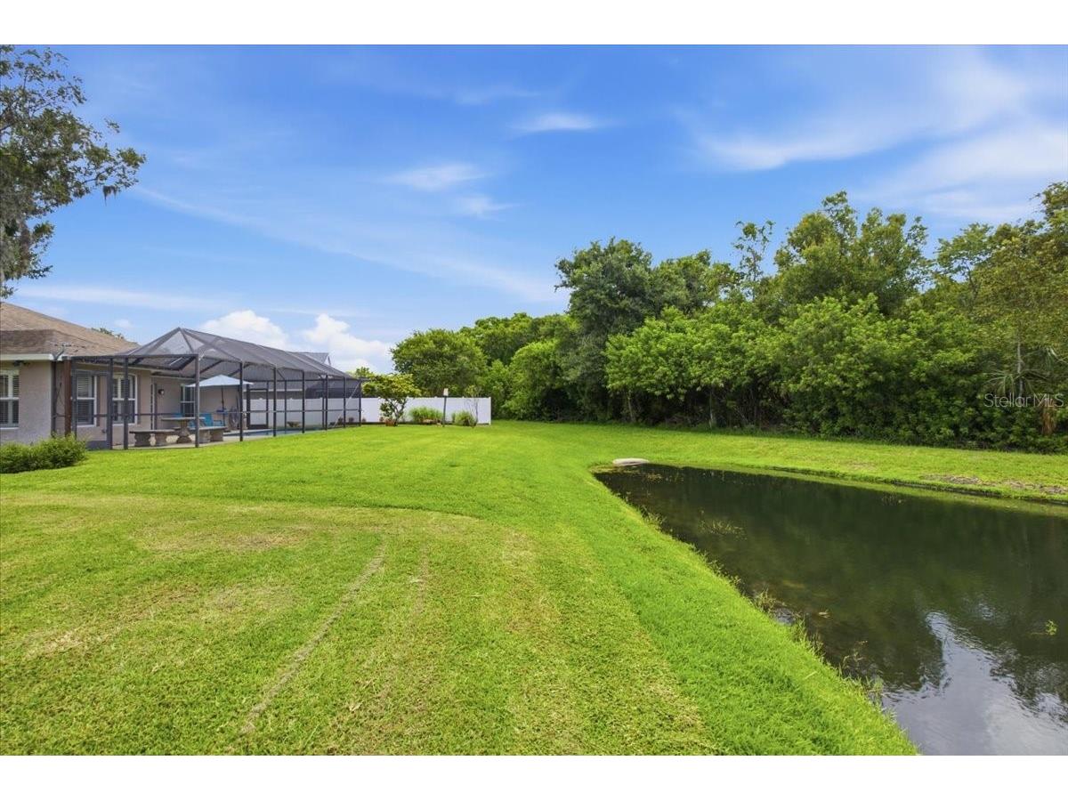 392 Tavernier Circle Oldsmar FL 34677 TB8521472 image48