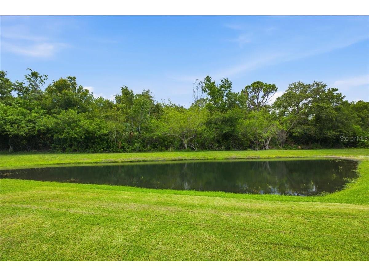 392 Tavernier Circle Oldsmar FL 34677 TB8521472 image49