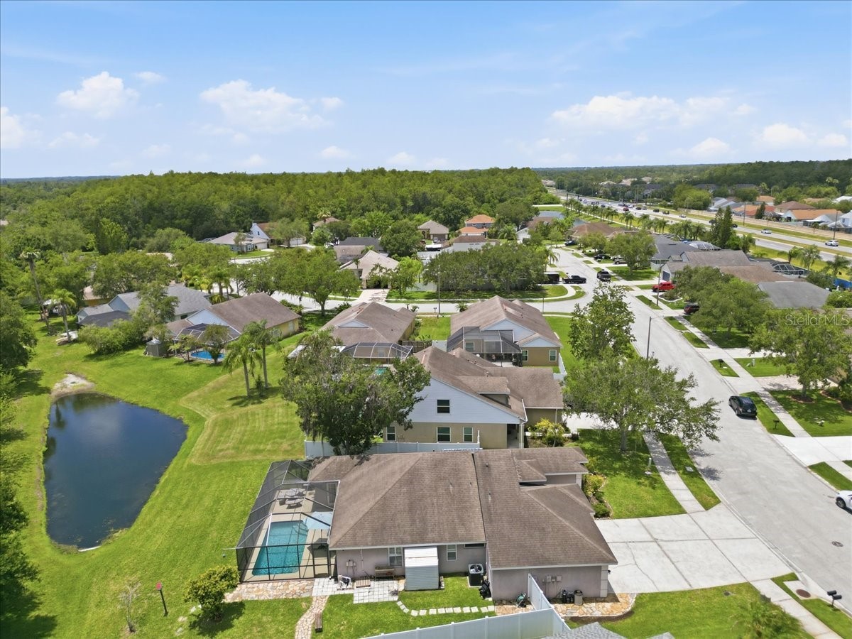392 Tavernier Circle Oldsmar FL 34677 TB8521472 image52