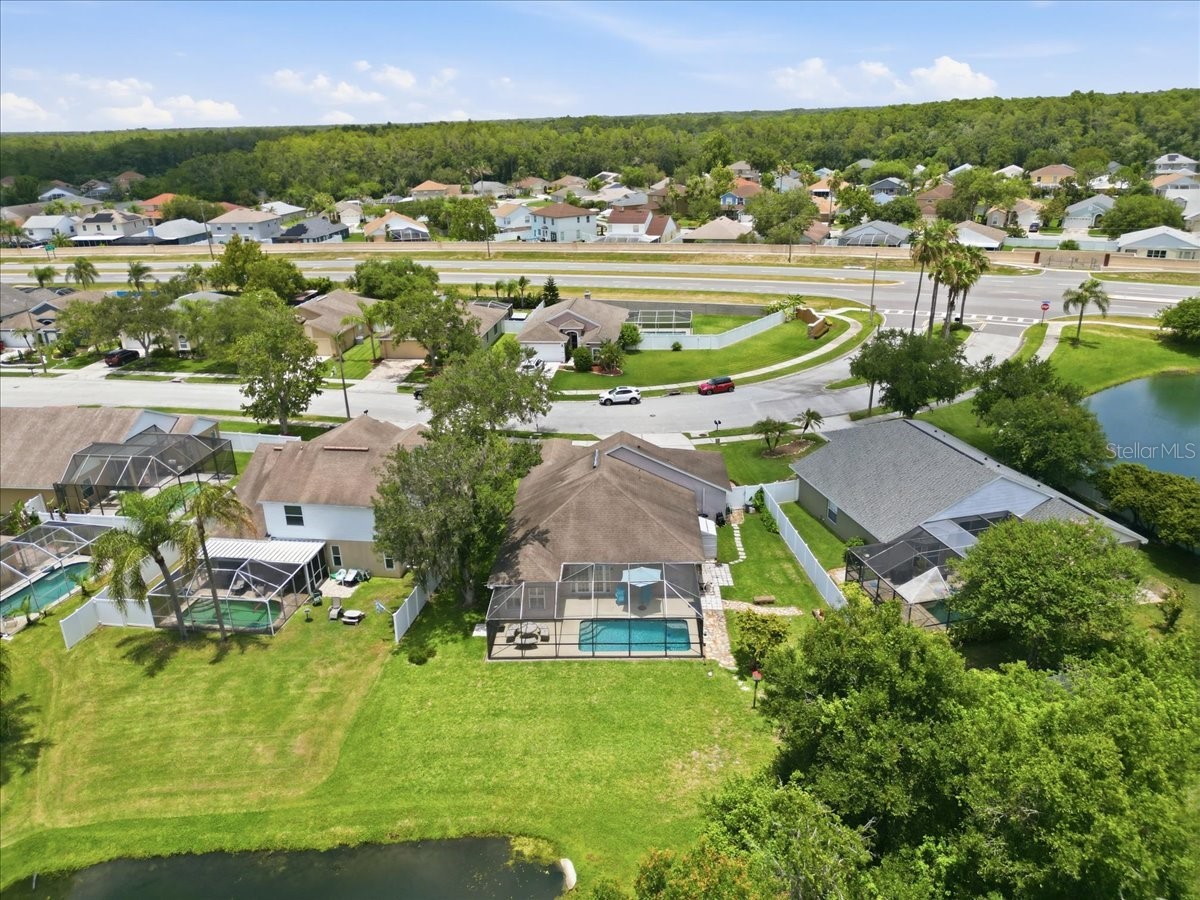 392 Tavernier Circle Oldsmar FL 34677 TB8521472 image54