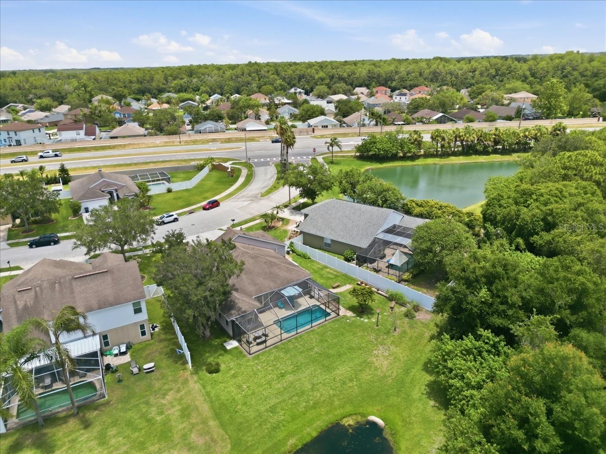 392 Tavernier Circle Oldsmar FL 34677 TB8521472 image58