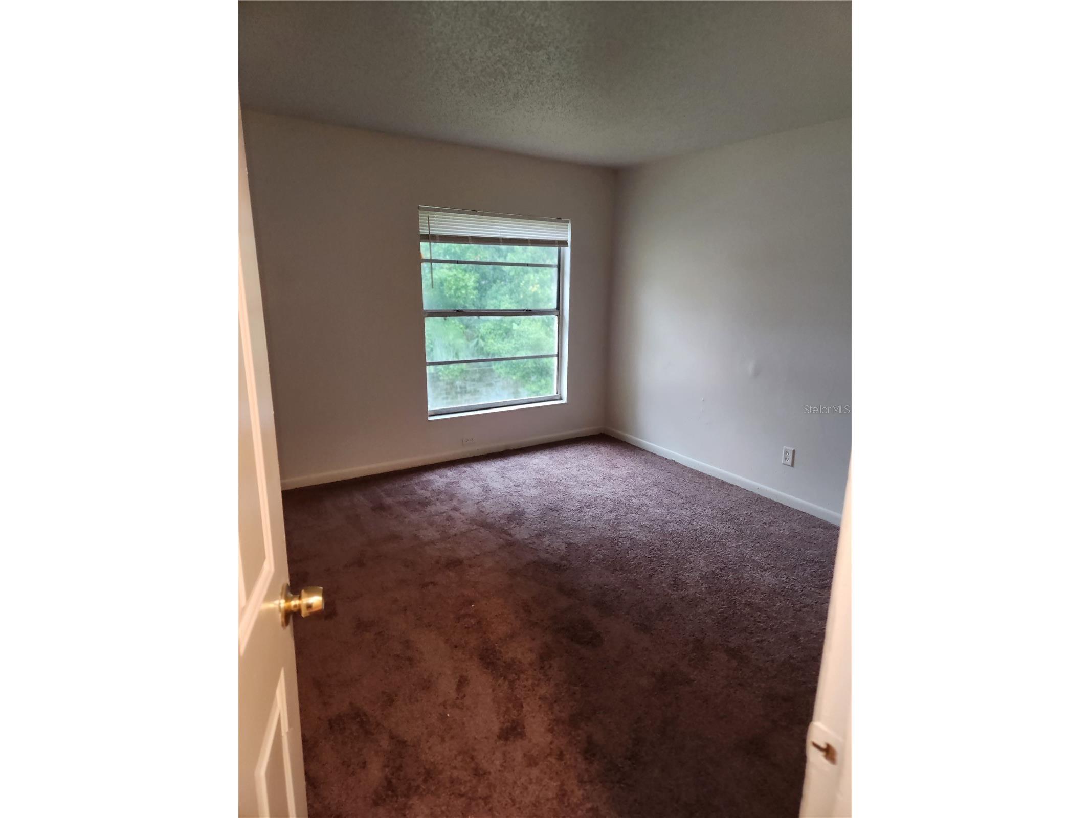 3920 E Jean Street #7 Tampa FL 33610 TB8528759 image4