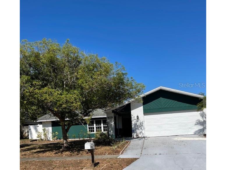 3920 Kestrel Street Palm Harbor FL 34683 U8244312 image1