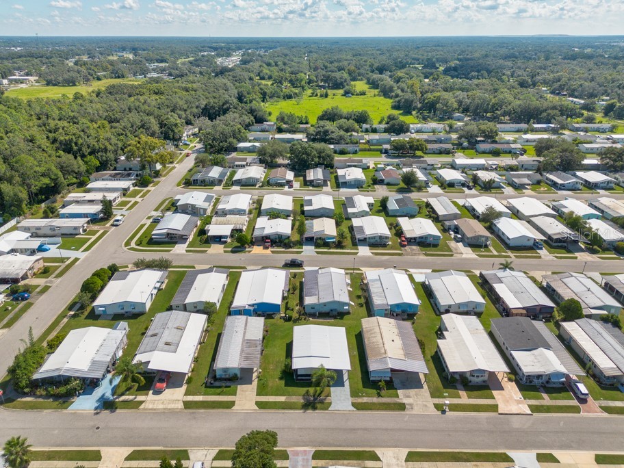 3920 Kim Drive Wesley Chapel FL 33543 TB8432992 image28