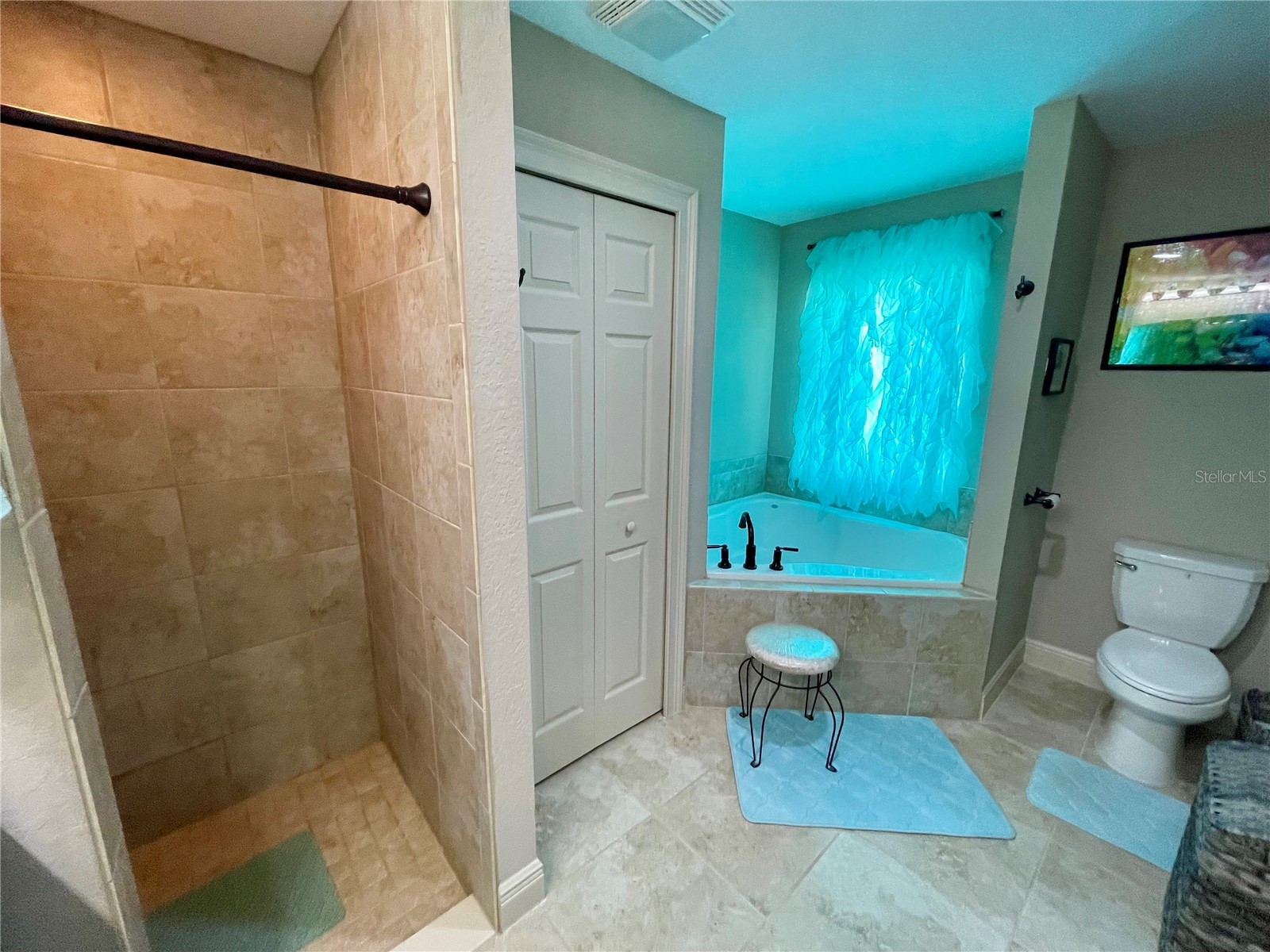 3920 SE 142nd Street Summerfield FL 34491 G5112152 image41
