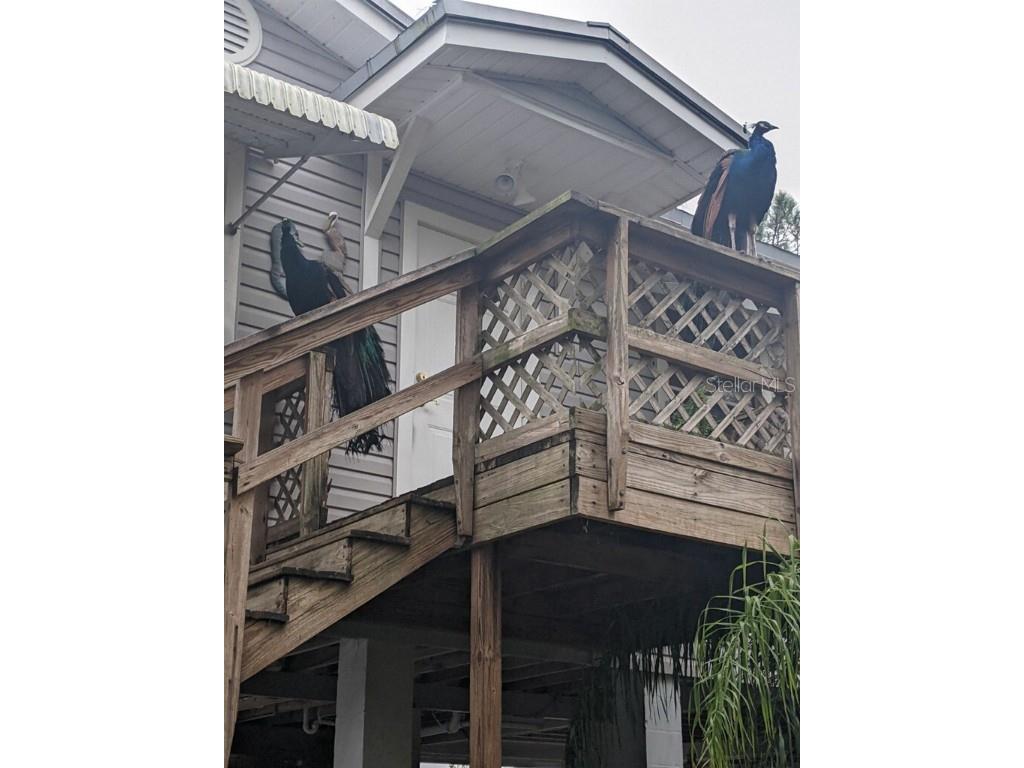 39200 Cook Brown Road Punta Gorda FL 33982 A4634802 image25