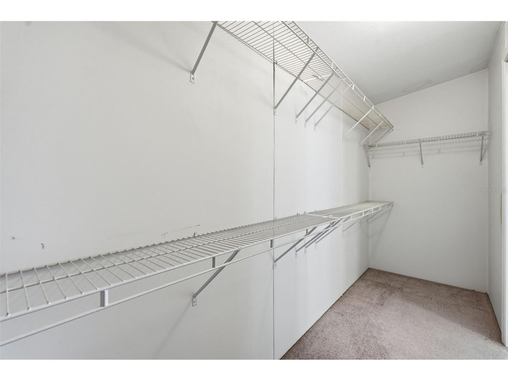 39206 Flora Avenue Zephyrhills FL 33542 TB8519766 image28