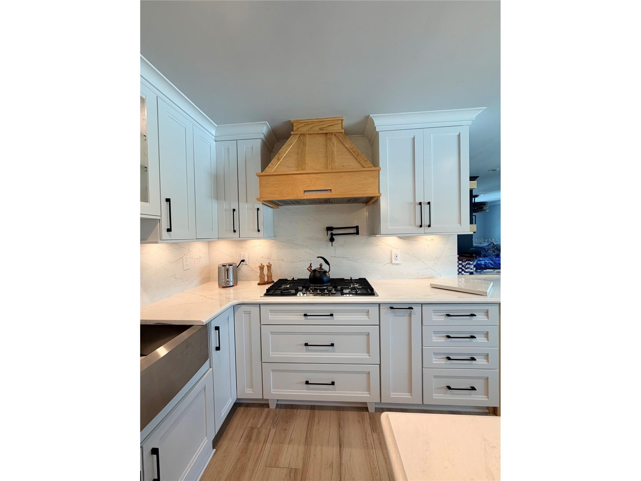 3921 Belle Vista Drive E Saint Pete Beach FL 33706 TB8514660 image5
