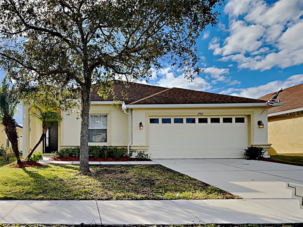 3921 Langdrum Drive Wesley Chapel FL 33543 T3429011 image1