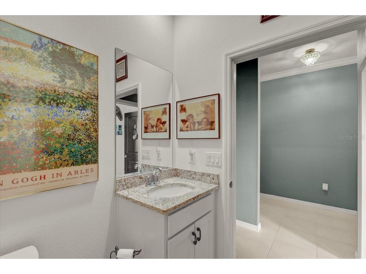 3921 Mossy Limb Court Palmetto FL 34221 TB8514635 image28