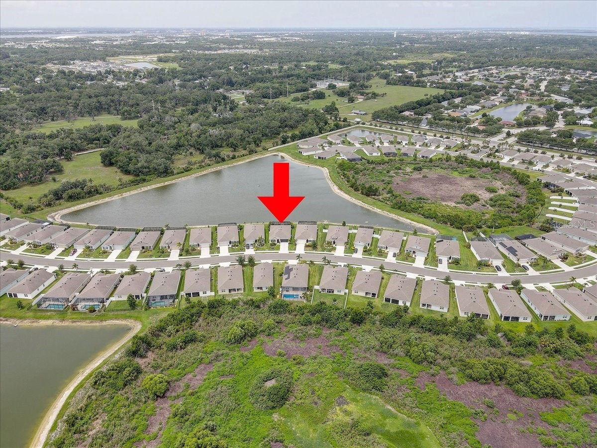 3921 Mossy Limb Court Palmetto FL 34221 TB8514635 image42