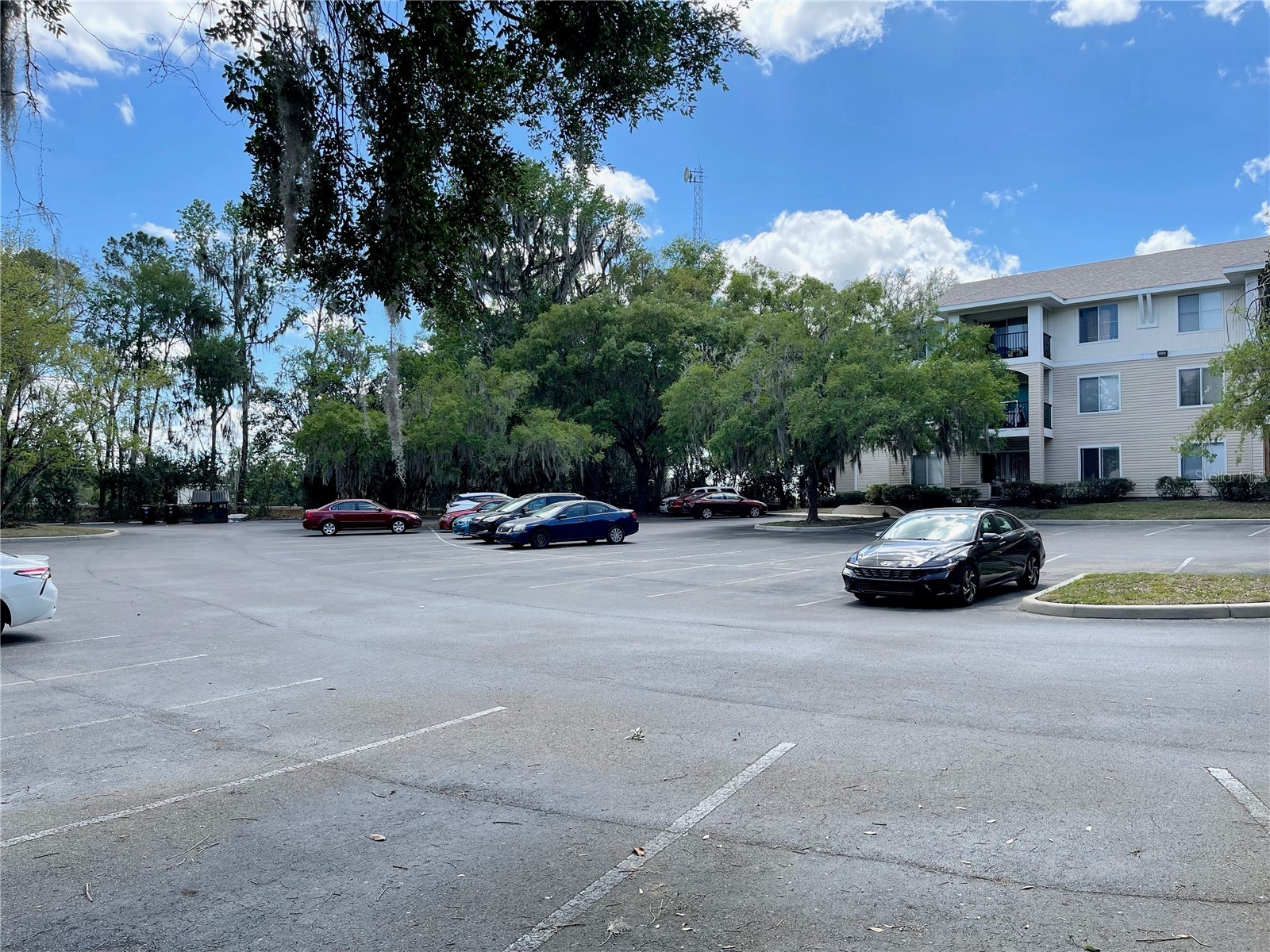 3921 SW 34th Street #307 Gainesville FL 32608 GC539246 image40