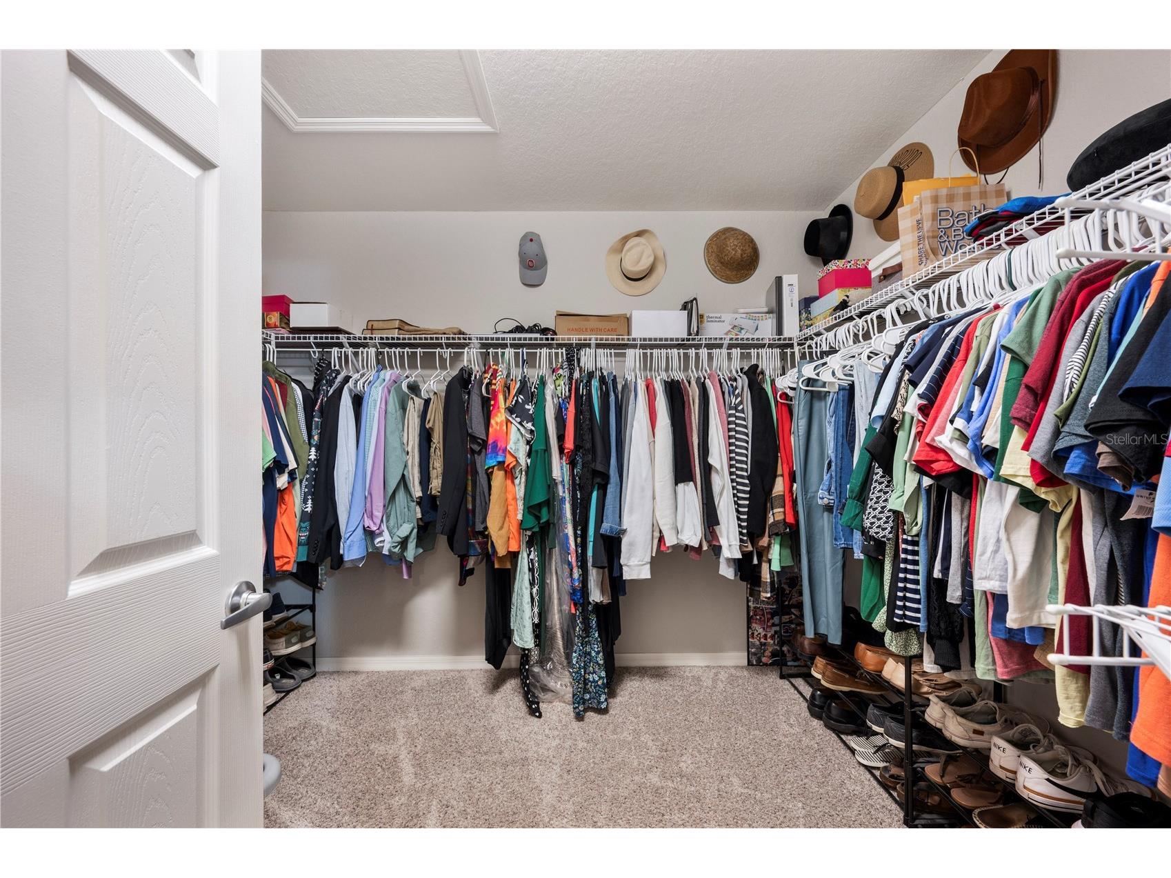 3921 White Ibis Road Lakeland FL 33811 L4961028 image22