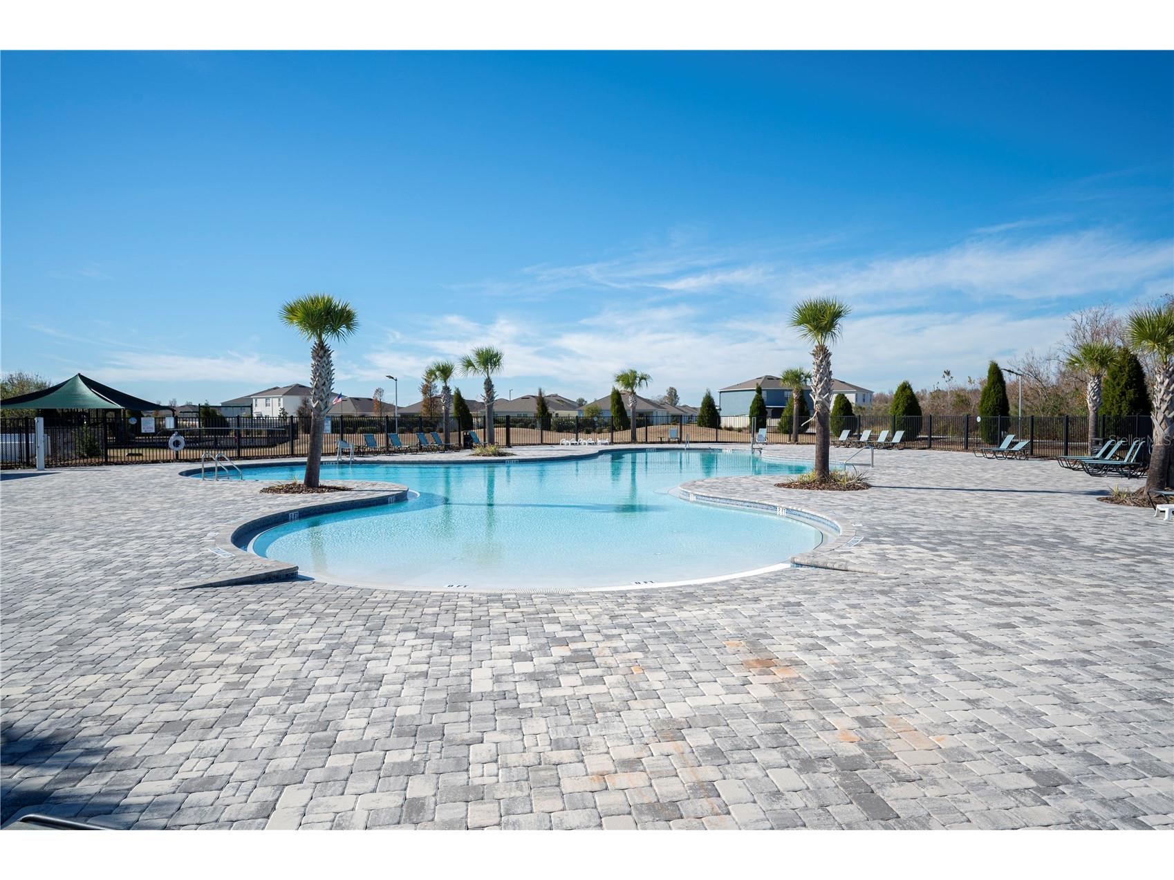 3921 White Ibis Road Lakeland FL 33811 L4961028 image41
